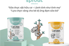 Sprout Organic thương hiệu sữa công thức 100% thực vật hữu cơ đến từ Úc