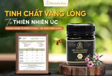 ManukaEco – Mật ong cao cấp từ Úc: Đắt xắt ra miếng, khác biệt từ gốc rễ