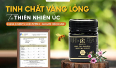 ManukaEco – Mật ong cao cấp từ Úc: Đắt xắt ra miếng, khác biệt từ gốc rễ